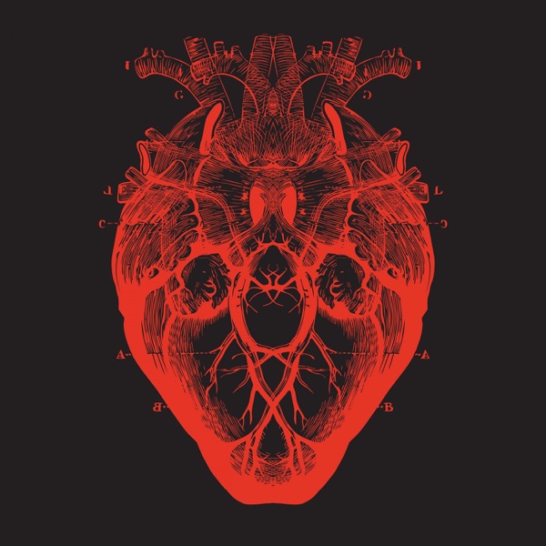 BoomBox (6) – Bits & Pieces