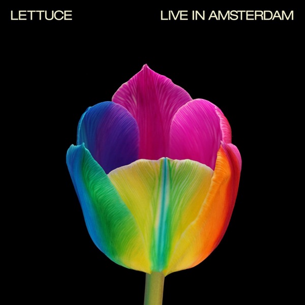 Lettuce (3) – Live in Amsterdam