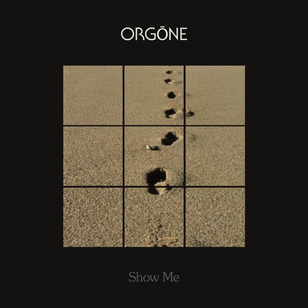 Orgone With Adryon De Leon – Reasons