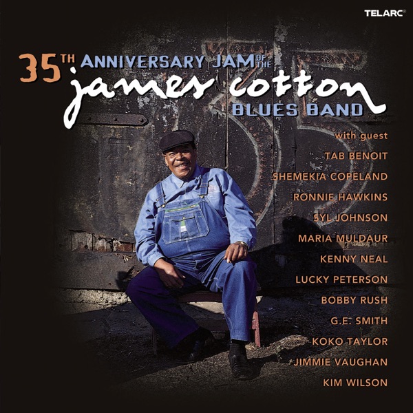 The James Cotton Blues Band – Taking Care Of Business